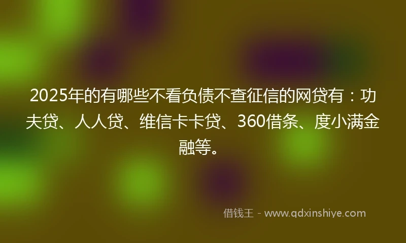 2025年的有哪些不看负债不查征信的网贷有：功夫贷、人人贷、维信卡卡贷、360借条、度小满金融等。