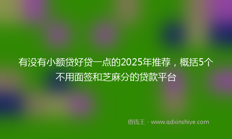 有没有小额贷好贷一点的2025年推荐，概括5个不用面签和芝麻分的贷款平台