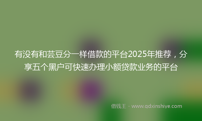 有没有和芸豆分一样借款的平台2025年推荐，分享五个黑户可快速办理小额贷款业务的平台