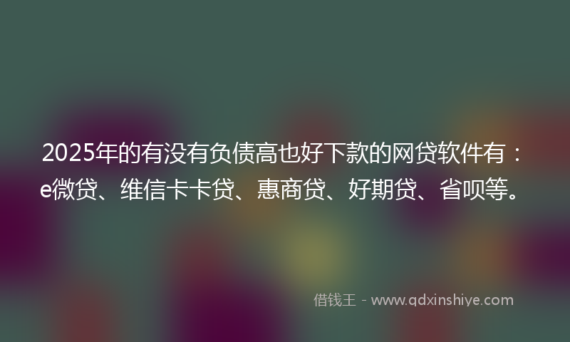 2025年的有没有负债高也好下款的网贷软件有：e微贷、维信卡卡贷、惠商贷、好期贷、省呗等。