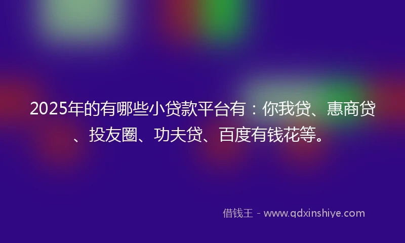 2025年的有哪些小贷款平台有：你我贷、惠商贷、投友圈、功夫贷、百度有钱花等。