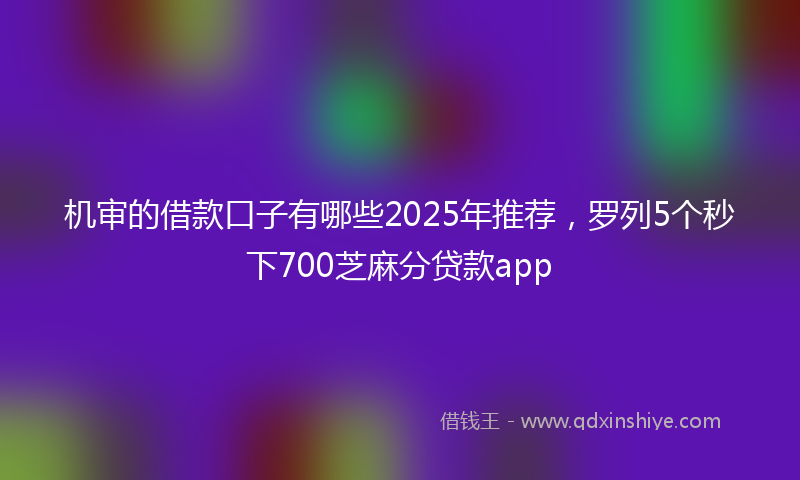 机审的借款口子有哪些2025年推荐，罗列5个秒下700芝麻分贷款app