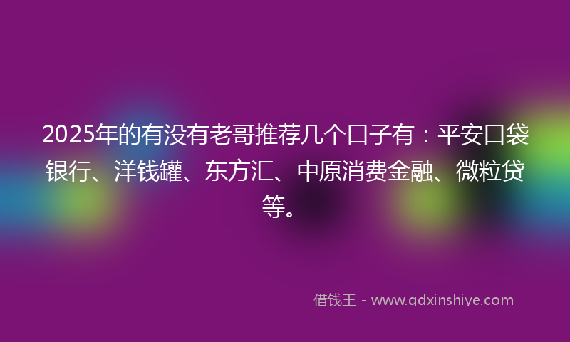 2025年的有没有老哥推荐几个口子有：平安口袋银行、洋钱罐、东方汇、中原消费金融、微粒贷等。