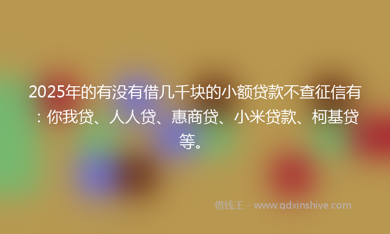 2025年的有没有借几千块的小额贷款不查征信有：你我贷、人人贷、惠商贷、小米贷款、柯基贷等。