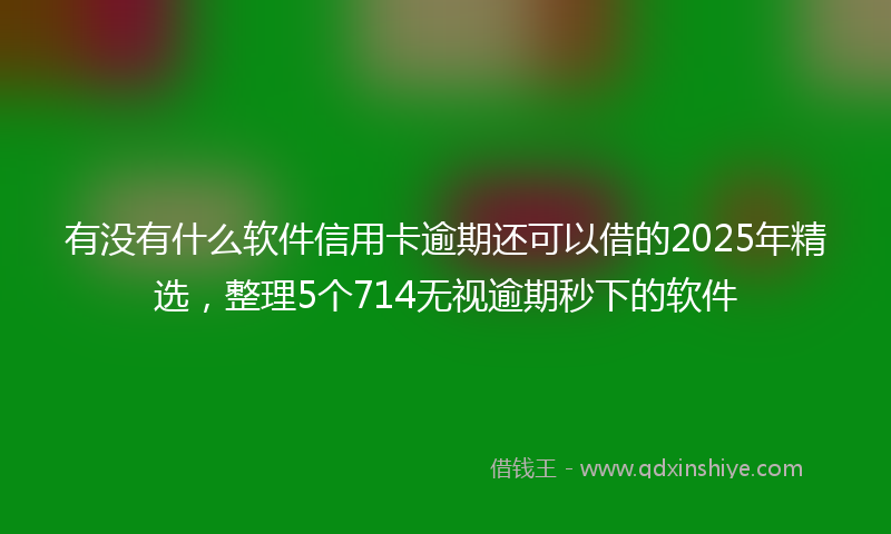有没有什么软件信用卡逾期还可以借的2025年精选，整理5个714无视逾期秒下的软件