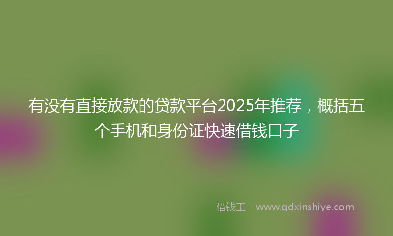 有没有直接放款的贷款平台2025年推荐，概括五个手机和身份证快速借钱口子