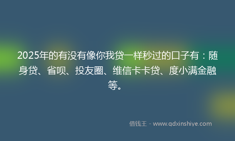 2025年的有没有像你我贷一样秒过的口子有：随身贷、省呗、投友圈、维信卡卡贷、度小满金融等。