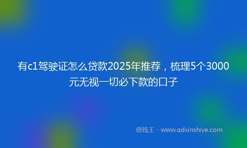 有c1驾驶证怎么贷款2025年推荐，梳理5个3000元无视一切必下款的口子