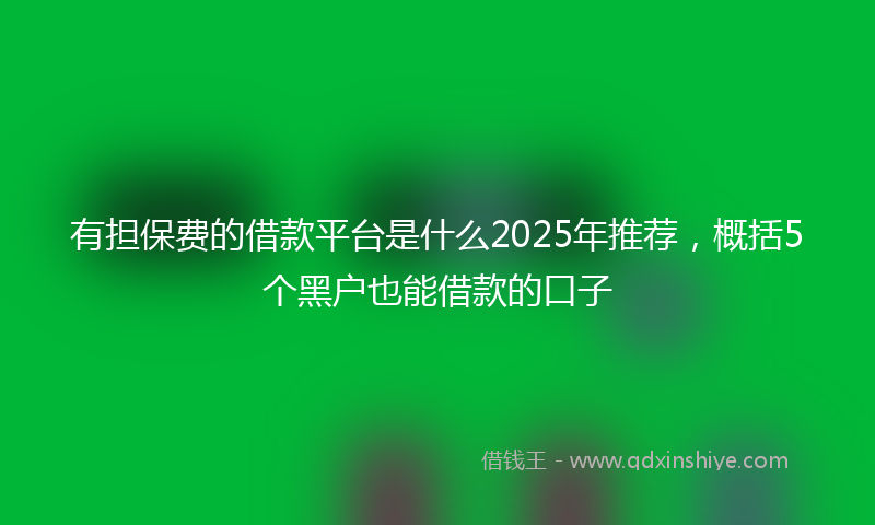 有担保费的借款平台是什么2025年推荐，概括5个黑户也能借款的口子