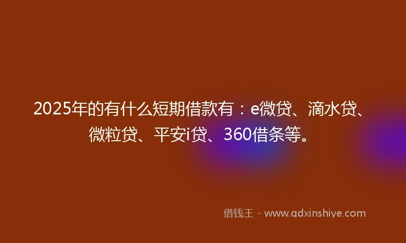 2025年的有什么短期借款有：e微贷、滴水贷、微粒贷、平安i贷、360借条等。