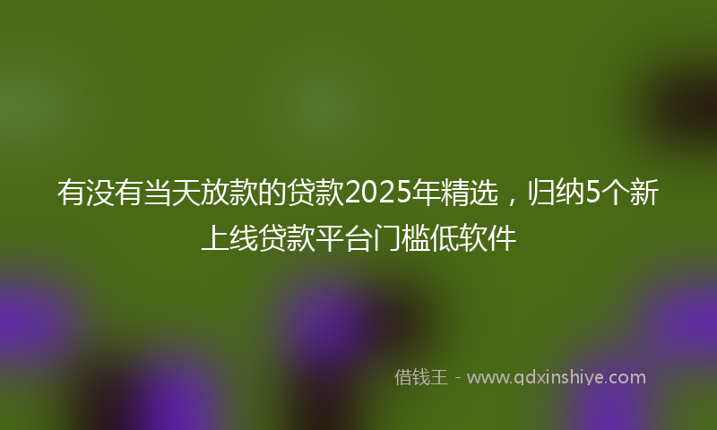 有没有当天放款的贷款2025年精选，归纳5个新上线贷款平台门槛低软件