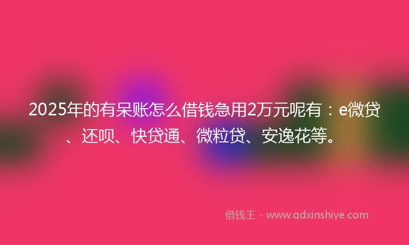 2025年的有呆账怎么借钱急用2万元呢有：e微贷、还呗、快贷通、微粒贷、安逸花等。