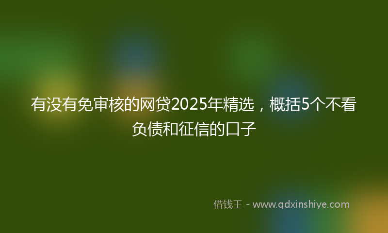 有没有免审核的网贷2025年精选，概括5个不看负债和征信的口子
