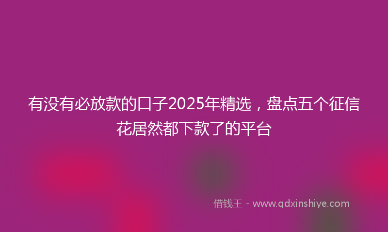 有没有必放款的口子2025年精选，盘点五个征信花居然都下款了的平台