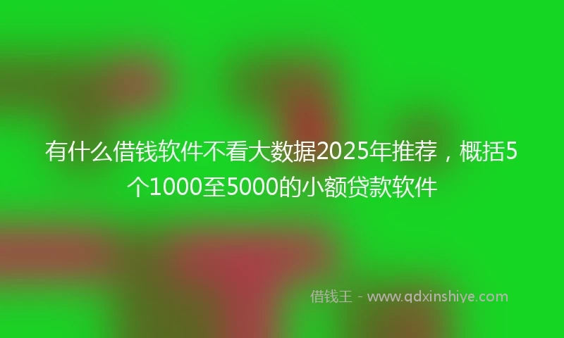 有什么借钱软件不看大数据2025年推荐，概括5个1000至5000的小额贷款软件