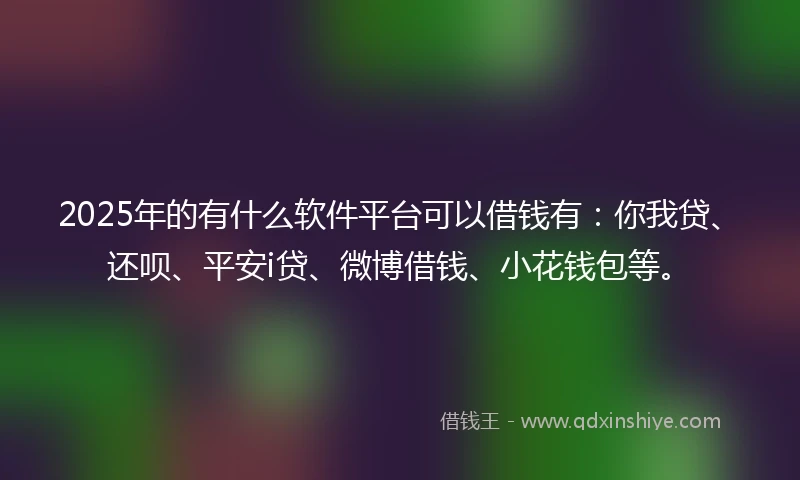 2025年的有什么软件平台可以借钱有：你我贷、还呗、平安i贷、微博借钱、小花钱包等。