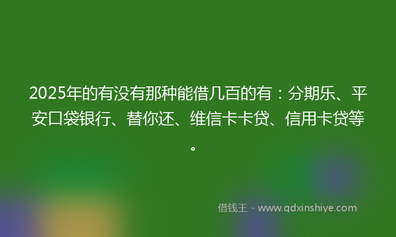 2025年的有没有那种能借几百的有：分期乐、平安口袋银行、替你还、维信卡卡贷、信用卡贷等。