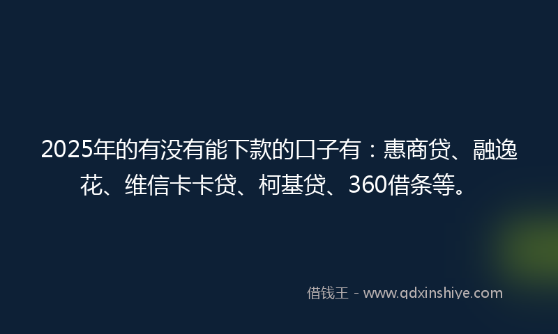2025年的有没有能下款的口子有：惠商贷、融逸花、维信卡卡贷、柯基贷、360借条等。