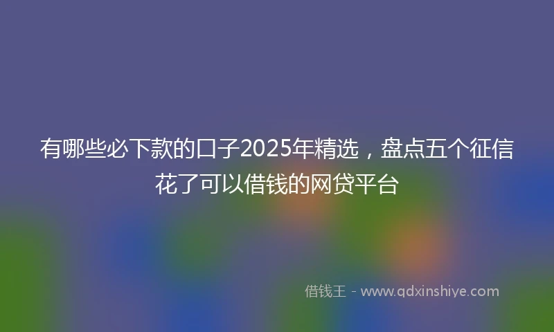 有哪些必下款的口子2025年精选，盘点五个征信花了可以借钱的网贷平台