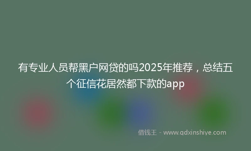 有专业人员帮黑户网贷的吗2025年推荐，总结五个征信花居然都下款的app