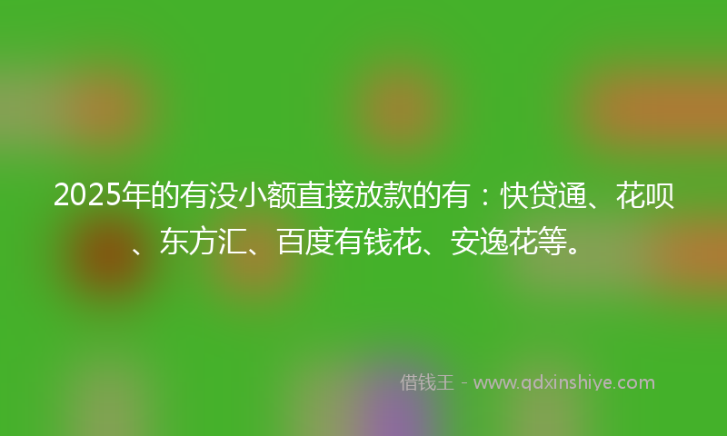 2025年的有没小额直接放款的有：快贷通、花呗、东方汇、百度有钱花、安逸花等。