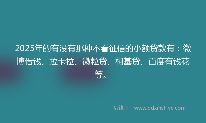 2025年的有没有那种不看征信的小额贷款有：微博借钱、拉卡拉、微粒贷、柯基贷、百度有钱花等。