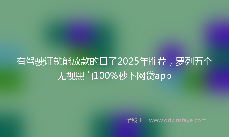 有驾驶证就能放款的口子2025年推荐，罗列五个无视黑白100%秒下网贷app