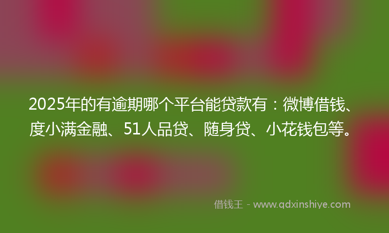 2025年的有逾期哪个平台能贷款有：微博借钱、度小满金融、51人品贷、随身贷、小花钱包等。