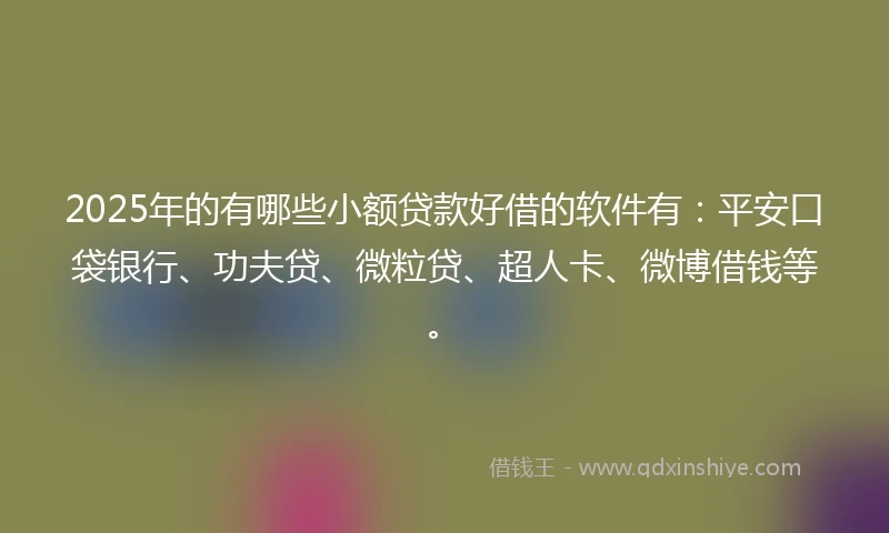 2025年的有哪些小额贷款好借的软件有：平安口袋银行、功夫贷、微粒贷、超人卡、微博借钱等。