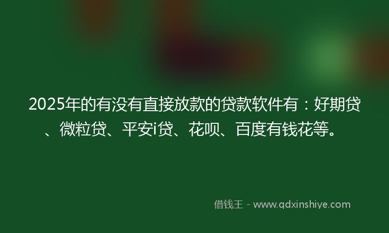 2025年的有没有直接放款的贷款软件有：好期贷、微粒贷、平安i贷、花呗、百度有钱花等。