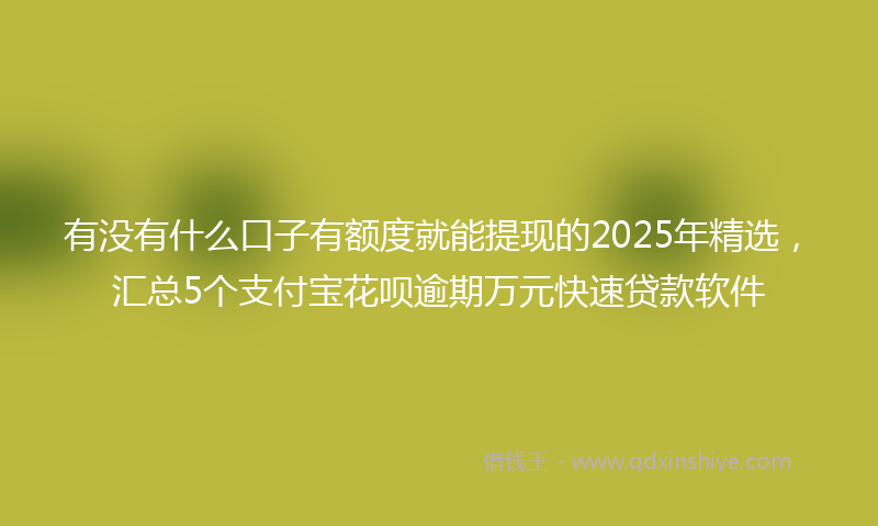 有没有什么口子有额度就能提现的2025年精选，汇总5个支付宝花呗逾期万元快速贷款软件