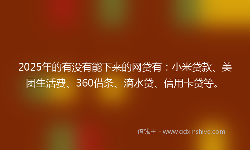 2025年的有没有能下来的网贷有：小米贷款、美团生活费、360借条、滴水贷、信用卡贷等。