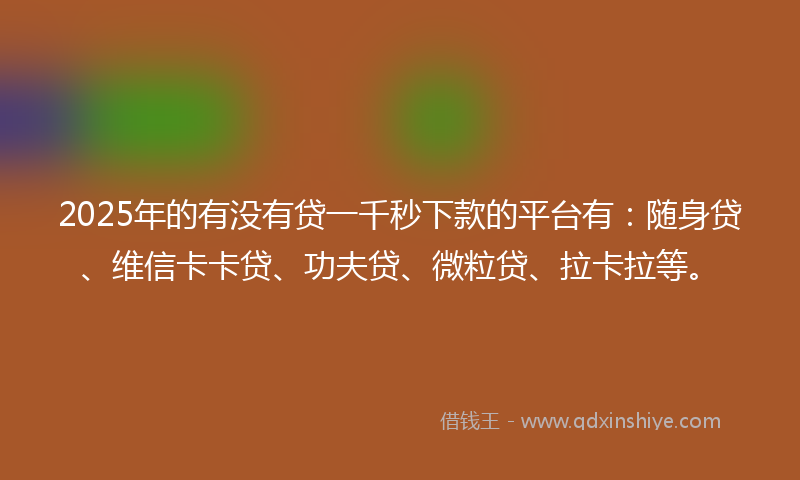 2025年的有没有贷一千秒下款的平台有：随身贷、维信卡卡贷、功夫贷、微粒贷、拉卡拉等。