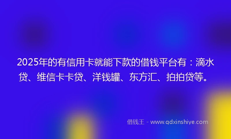2025年的有信用卡就能下款的借钱平台有：滴水贷、维信卡卡贷、洋钱罐、东方汇、拍拍贷等。
