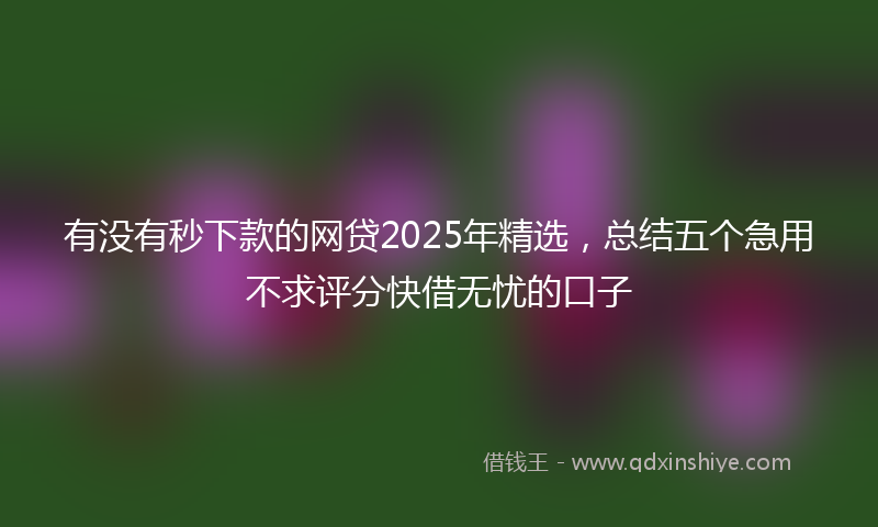 有没有秒下款的网贷2025年精选，总结五个急用不求评分快借无忧的口子