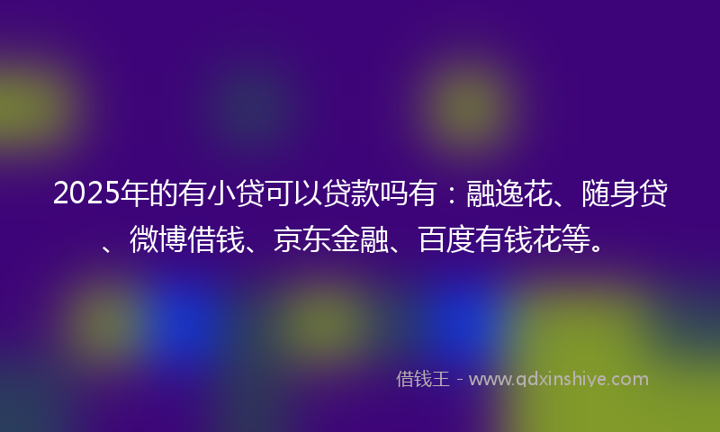 2025年的有小贷可以贷款吗有:融逸花、随身贷、微博借钱、京东金融、百度有钱花等。
