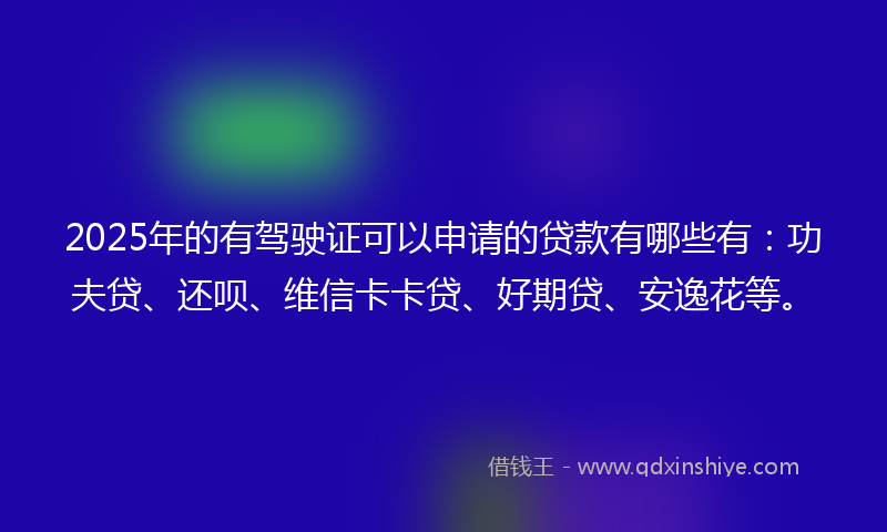 2025年的有驾驶证可以申请的贷款有哪些有：功夫贷、还呗、维信卡卡贷、好期贷、安逸花等。