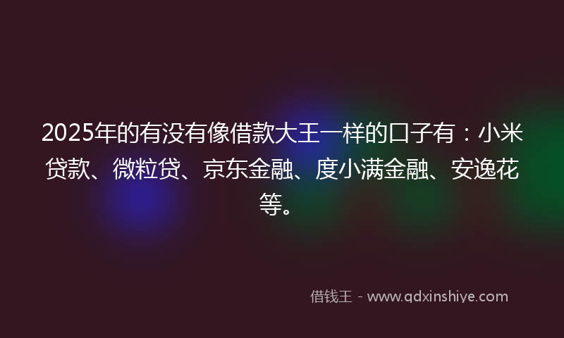 2025年的有没有像借款大王一样的口子有：小米贷款、微粒贷、京东金融、度小满金融、安逸花等。