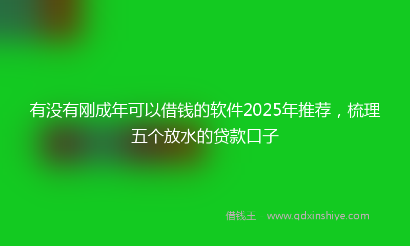 有没有刚成年可以借钱的软件2025年推荐，梳理五个放水的贷款口子