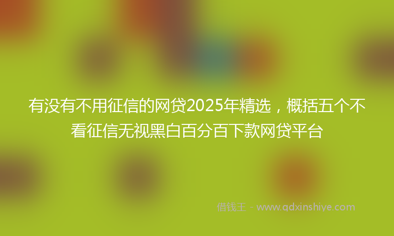 有没有不用征信的网贷2025年精选，概括五个不看征信无视黑白百分百下款网贷平台
