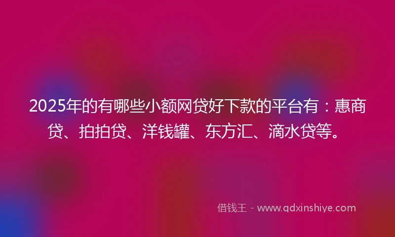 2025年的有哪些小额网贷好下款的平台有：惠商贷、拍拍贷、洋钱罐、东方汇、滴水贷等。