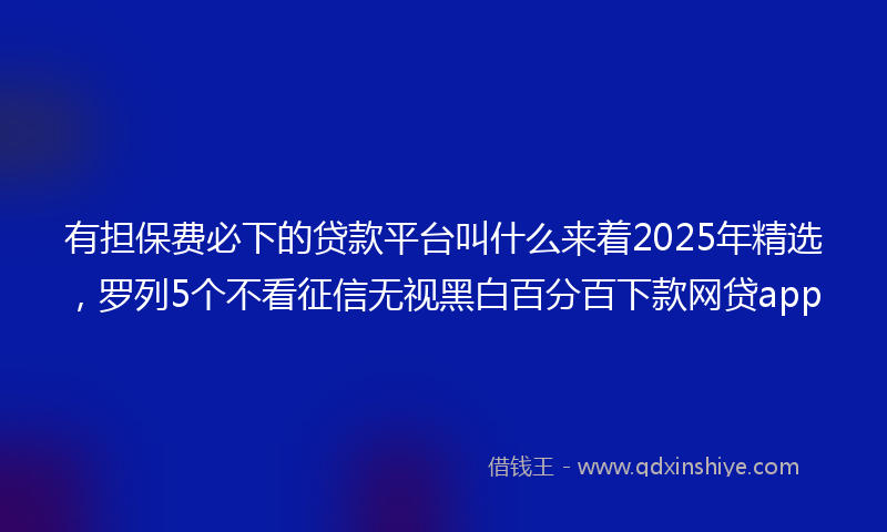 有担保费必下的贷款平台叫什么来着2025年精选，罗列5个不看征信无视黑白百分百下款网贷app