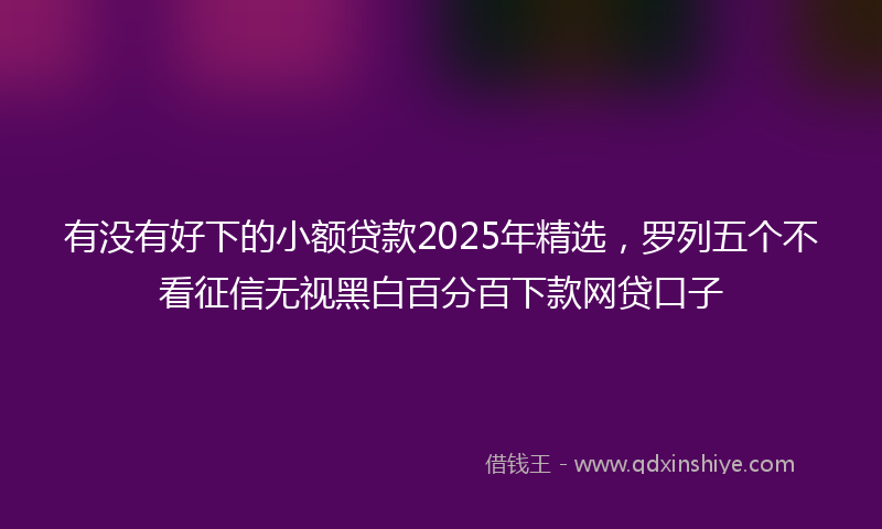 有没有好下的小额贷款2025年精选，罗列五个不看征信无视黑白百分百下款网贷口子