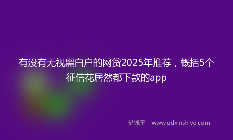 有没有无视黑白户的网贷2025年推荐,概括5个征信花居然都下款的app