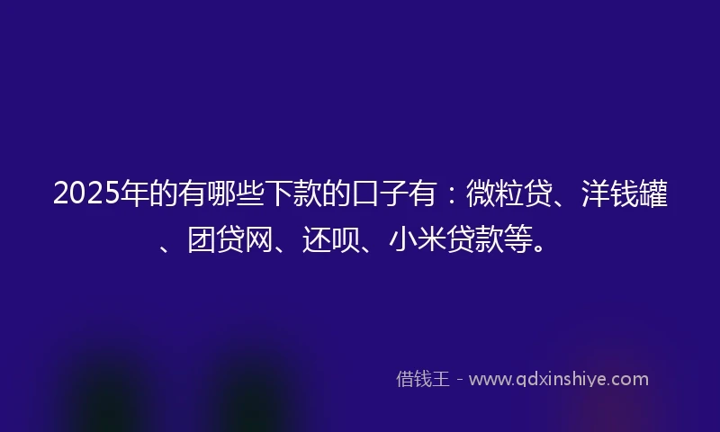 2025年的有哪些下款的口子有：微粒贷、洋钱罐、团贷网、还呗、小米贷款等。