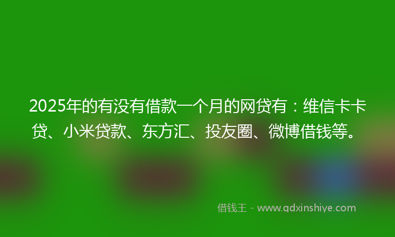 2025年的有没有借款一个月的网贷有：维信卡卡贷、小米贷款、东方汇、投友圈、微博借钱等。
