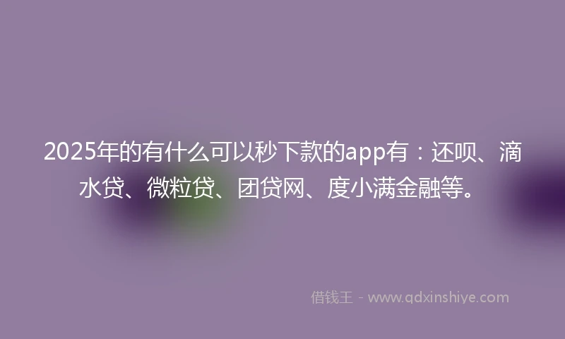 2025年的有什么可以秒下款的app有：还呗、滴水贷、微粒贷、团贷网、度小满金融等。