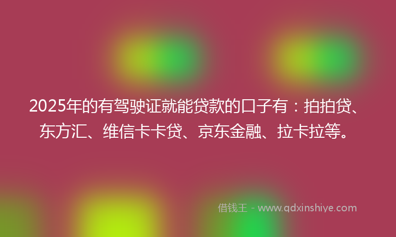 2025年的有驾驶证就能贷款的口子有：拍拍贷、东方汇、维信卡卡贷、京东金融、拉卡拉等。