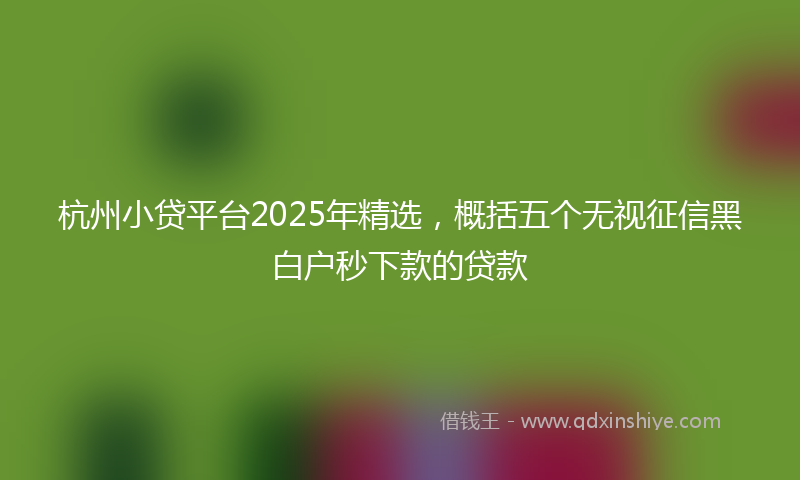 杭州小贷平台2025年精选，概括五个无视征信黑白户秒下款的贷款