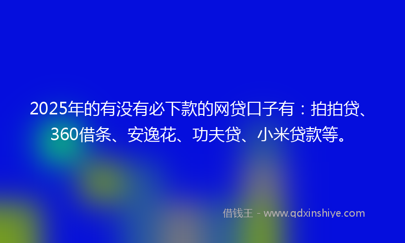 2025年的有没有必下款的网贷口子有:拍拍贷、360借条、安逸花、功夫贷、小米贷款等。